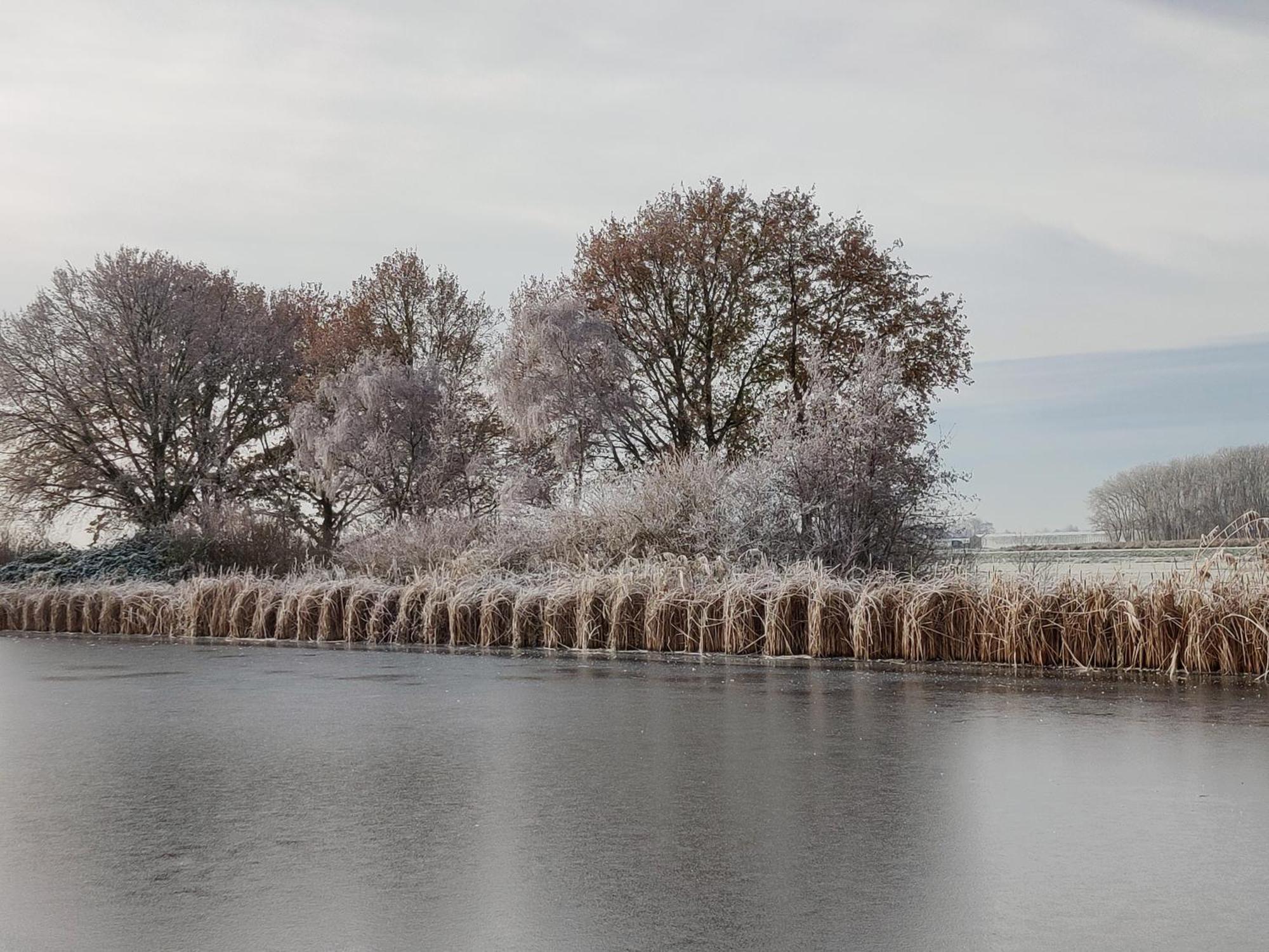 Willa Park De Driesprong Nieuwveen Zewnętrze zdjęcie