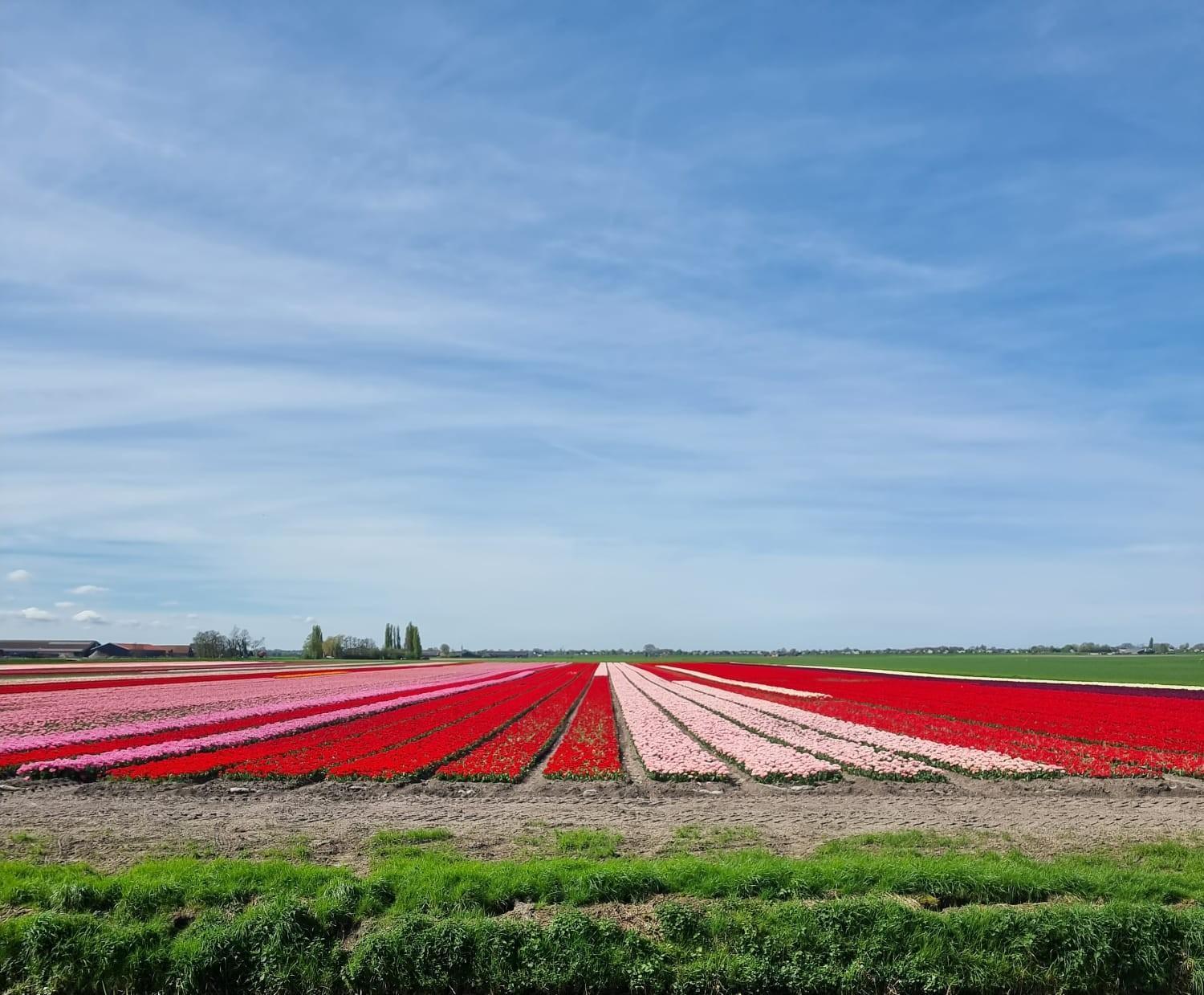 Willa Park De Driesprong Nieuwveen Zewnętrze zdjęcie