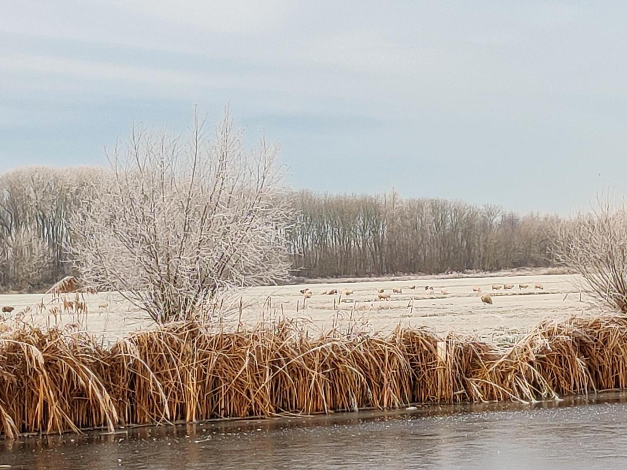 Willa Park De Driesprong Nieuwveen Zewnętrze zdjęcie