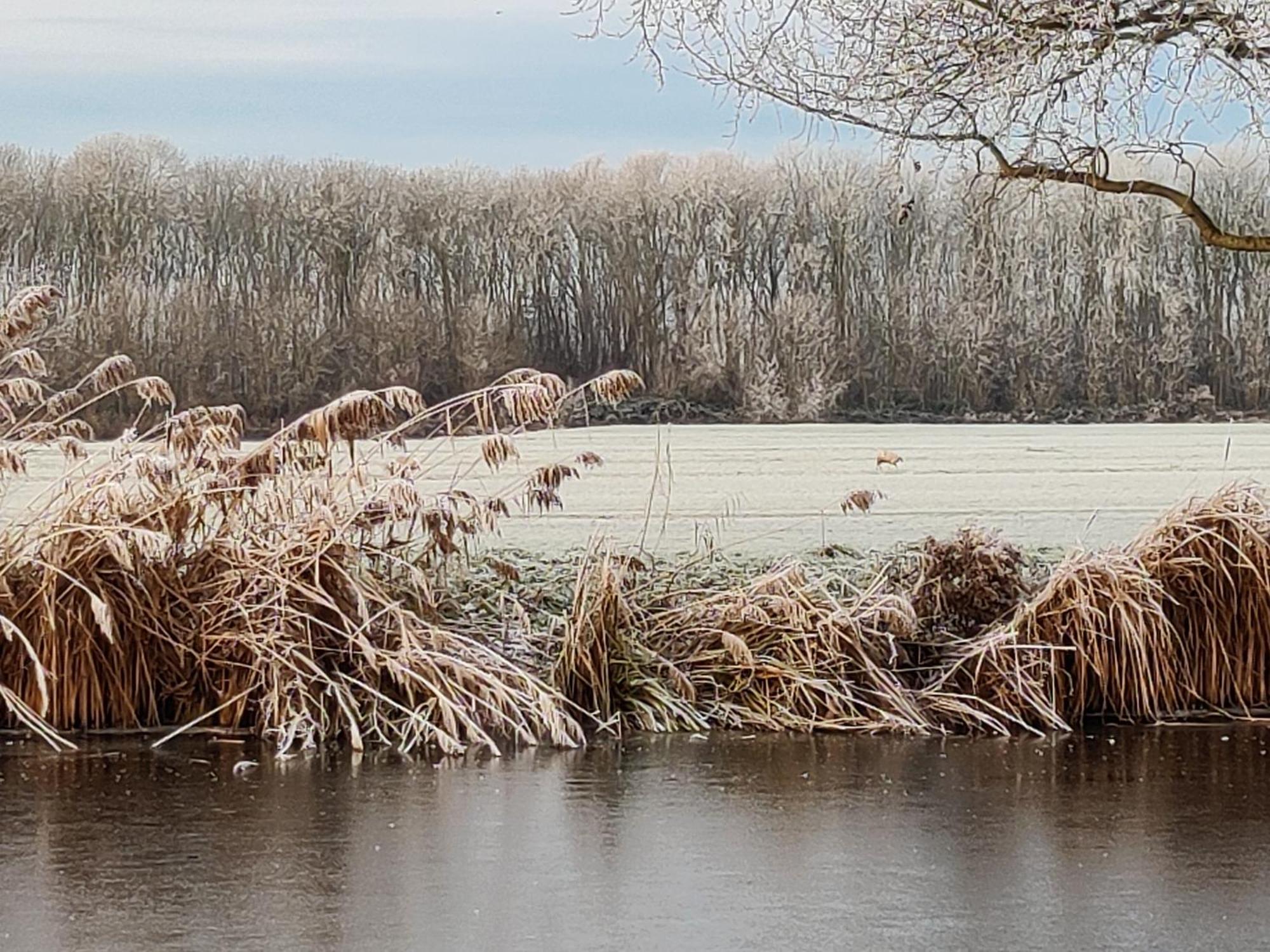 Willa Park De Driesprong Nieuwveen Zewnętrze zdjęcie